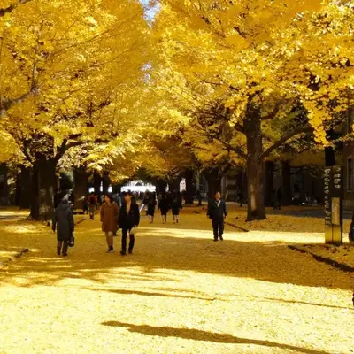 Alo BnB 6 - Near IKEBUKURO