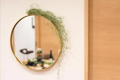 a mirror with green ivy on a wall at TORA HOTEL Tokyo Skytree \u5bc5\u30db\u30c6\u30eb \u30b9\u30ab\u30a4\u30c4\u30ea\u30fcD in Tokyo