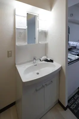 a bathroom with a white sink and a mirror at G&R House 101 in Tokyo