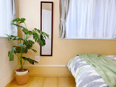 a plant in a room with a window and a mirror at nestay villa tokyo otsuka in Tokyo