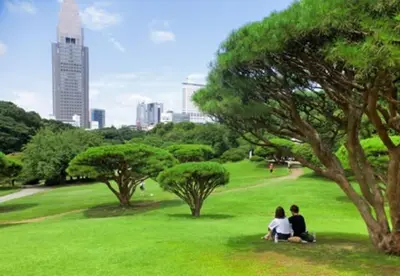 two people sitting in the grass in a park at \uff35\uff27\uff2f in Tokyo