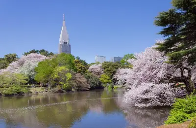 a river with flowering trees and a tower in the background at Sakura Cross Hotel Shinjuku East Annex in Tokyo