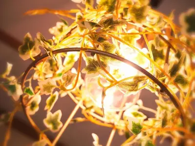 a close up of a plant with yellow flowers at Koto-ku - House / Vacation STAY 76385 in Tokyo