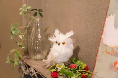 a white bird sitting on a table with berries at AZEGAMI 2F in Tokyo