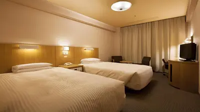a hotel room with two beds and a television at Hotel Grand Hill Ichigaya in Tokyo