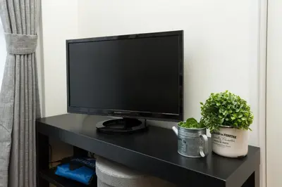 a television on a black table with a plant at Nakano Apartment hotel in Tokyo