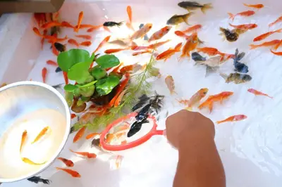 a person holding a pair of scissors to a group of fish at Stay SAKURA Tokyo ASAKUSA ART DECO HOTEL in Tokyo