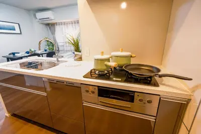 a kitchen with a stove with two pots on it at HIZ HOTEL Ginza in Tokyo
