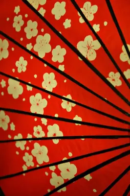 a red umbrella with white flowers on it at Mukojima Kodate - Vacation STAY 8857 in Tokyo