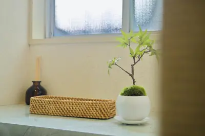 a plant in a white vase sitting on a window sill at Ikebukuro in Tokyo