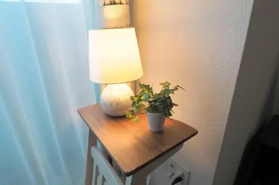 a table with a lamp and a potted plant on it at \u6e0b\u8c37\u9053\u7384\u5742307 in Tokyo