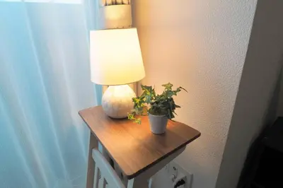 a table with a lamp and a potted plant on it at \u6e0b\u8c37\u9053\u7384\u5742401 in Tokyo