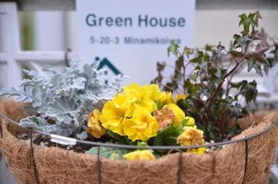 a basket full of flowers in a green house at Green House 101 in Tokyo