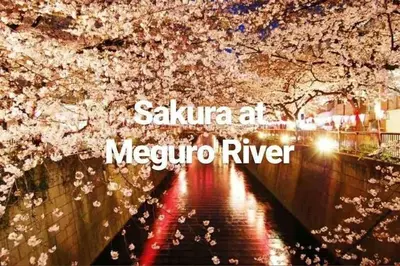 Gallery image of Sun Stay \u5927\u5d0e1 in Tokyo