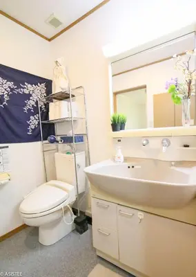 a bathroom with a sink and a toilet and a mirror at Fuji House West Shinjuku in Tokyo
