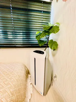a plant sitting on a wall next to a window at YUYUSO Hostel-SG0165 in Tokyo