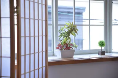 two potted plants sitting on a window sill at Green House 201 in Tokyo