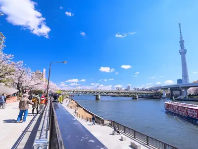 a view of the eiffel tower and the river at MIMARU Tokyo Asakusa Station in Tokyo
