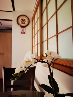a vase with white flowers sitting on a table at belle via tokyo - Vacation STAY 18577v in Tokyo