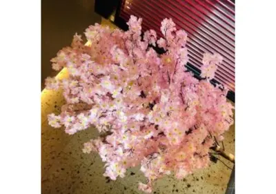 a pink plant sitting on top of a table at Sakura Sky Hotel - Vacation STAY 18444v in Tokyo