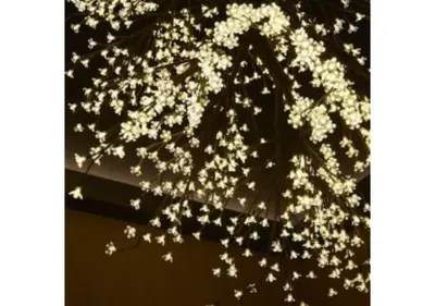 a bunch of white flowers hanging from a tree at Sakura Sky Hotel - Vacation STAY 18442v in Tokyo