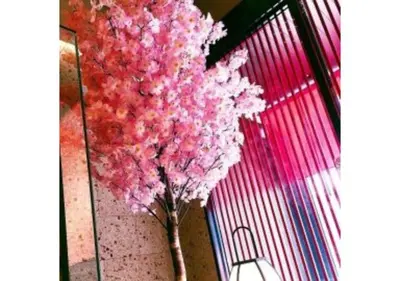 a tree with pink flowers in a room at Sakura Sky Hotel - Vacation STAY 18442v in Tokyo