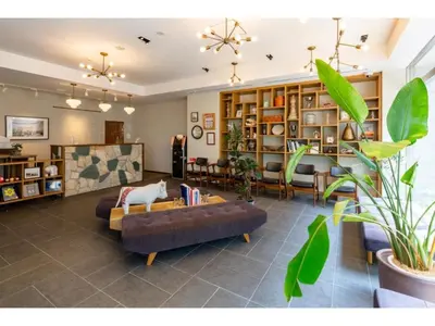 a living room with a cat sitting on a couch at Hotel Emit Shibuya - Vacation STAY 40890v in Tokyo