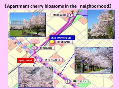 a collage of cherry blossoms in the neighborhood at La Mer Urayasu - Vacation STAY 11148 in Urayasu