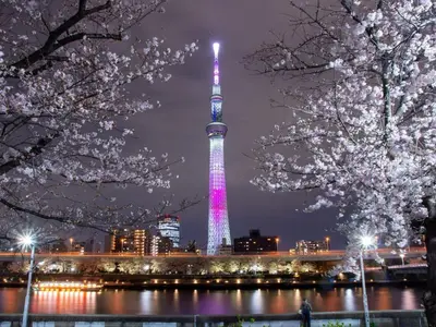 a view of the tokyo tower lit up at night at Rakuten STAY Tokyo Asakusa Single Room in Tokyo