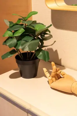 a potted plant sitting on a counter next to a plant at Ostay Ikebukuro Dairaku Hotel Apartment in Tokyo