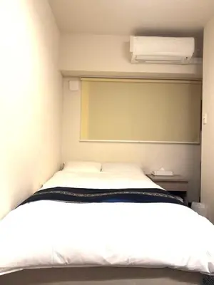 a bedroom with a white bed in a room at Hotel Plaisir Akihabara in Tokyo