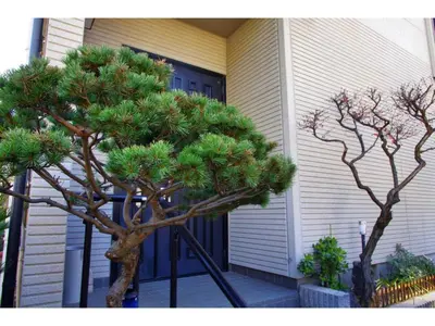 a tree in front of a house with a blue door at NYOZE House - Vacation STAY 84305v in Tokyo