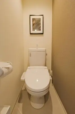 a white toilet in a bathroom with a picture on the wall at Hotel FANDINA TOKYO -\u30d5\u30a1\u30f3\u30c7\u30a3\u30fc\u30ca\u6771\u4eac- in Tokyo