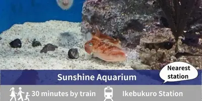 a fish in an aquarium with the words stingine aquatic aquarium at Tamayura Hotel Asakusa in Tokyo