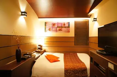a bedroom with a bed and a tv at HOTEL CHECK INN BALI adult only in Tokyo