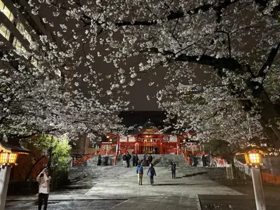 a group of people walking in a park with flowering trees at City Hotel Dolphin in Tokyo