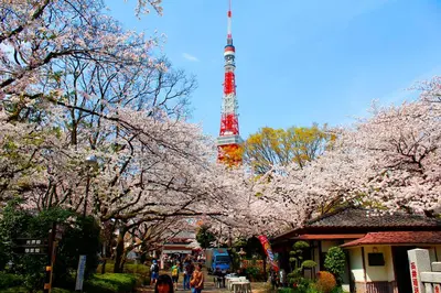 a tower with a bunch of cherry trees in front of it at Rose Stay Tokyo Shiba Park in Tokyo