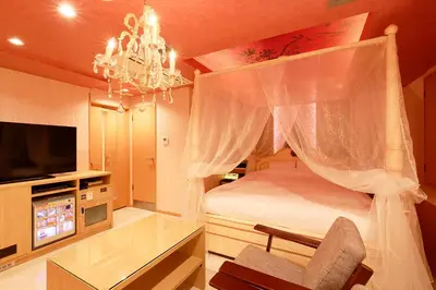 a bedroom with a canopy bed and a television at HOTEL555 \u9326\u7cf8\u753a in Tokyo