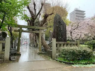a japanese cemetery in the rain withakura trees at KIKO HOUSE - Vacation STAY 42460v in Tokyo