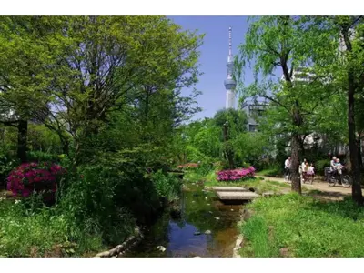 a park with a river and a tower in the background at KIKO HOUSE - Vacation STAY 42470v in Tokyo