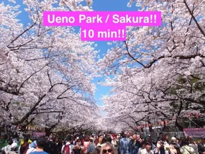 a crowd of people walking under cherry blossom trees at Gracias Arakawa - Vacation STAY 81702v in Tokyo