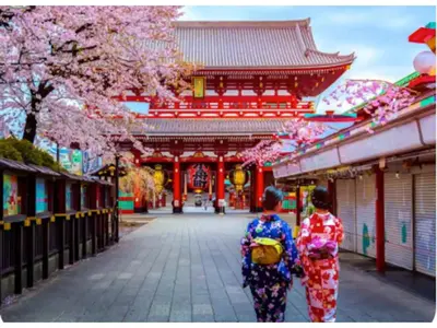 two women walking down a street in a temple withakura trees at Hotel chen's house - Vacation STAY 42508v in Tokyo