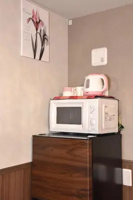 a microwave oven sitting on top of a cabinet at SHINJUKU WARM VILLA I in Tokyo