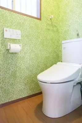 a bathroom with a white toilet in a green wall at Shinjuku area house with 3BR 2mins to Metro on foot in Tokyo