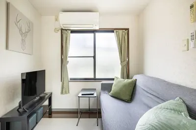 a living room with a couch and a television at PAPA301 in Tokyo