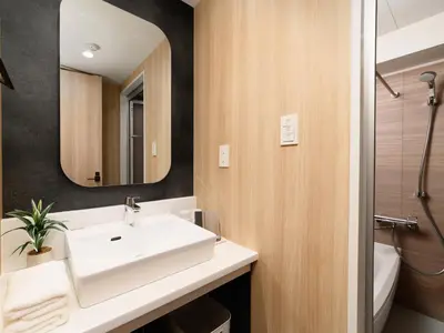 a bathroom with a sink and a mirror at MIMARU Tokyo Ikebukuro in Tokyo