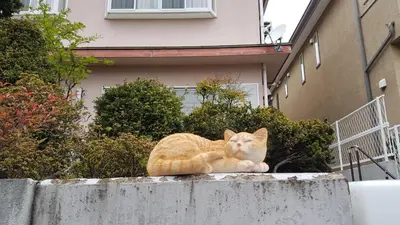 an orange cat laying on a concrete wall at \u30ec\u30f3\u30bf\u30eb\u30eb\u30fc\u30e0\u76ee\u9ed2 in Tokyo
