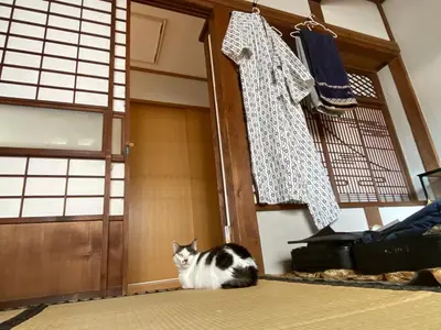 a black and white cat sitting in front of a door at \u30ec\u30f3\u30bf\u30eb\u30eb\u30fc\u30e0\u76ee\u9ed2 in Tokyo