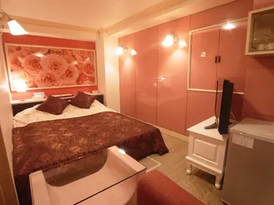 a hotel room with a bed and a television at SKYROAD Adult Only in Tokyo