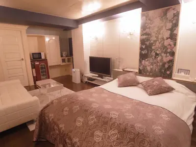 a bedroom with a large bed and a television at SKYROAD Adult Only in Tokyo